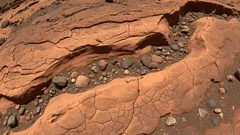 火星は予想以上に「生命に満ちていた」ことが判明：科学者による新たな発見