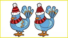 10秒で5つの違いをすべて見つけられるのは、わずか30％の人だけだ