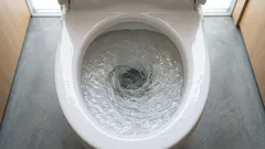 トイレの便器から飛んだ細菌は、あなたの歯ブラシにまで付着してしまう――これを防ぐにはどうすればよいか